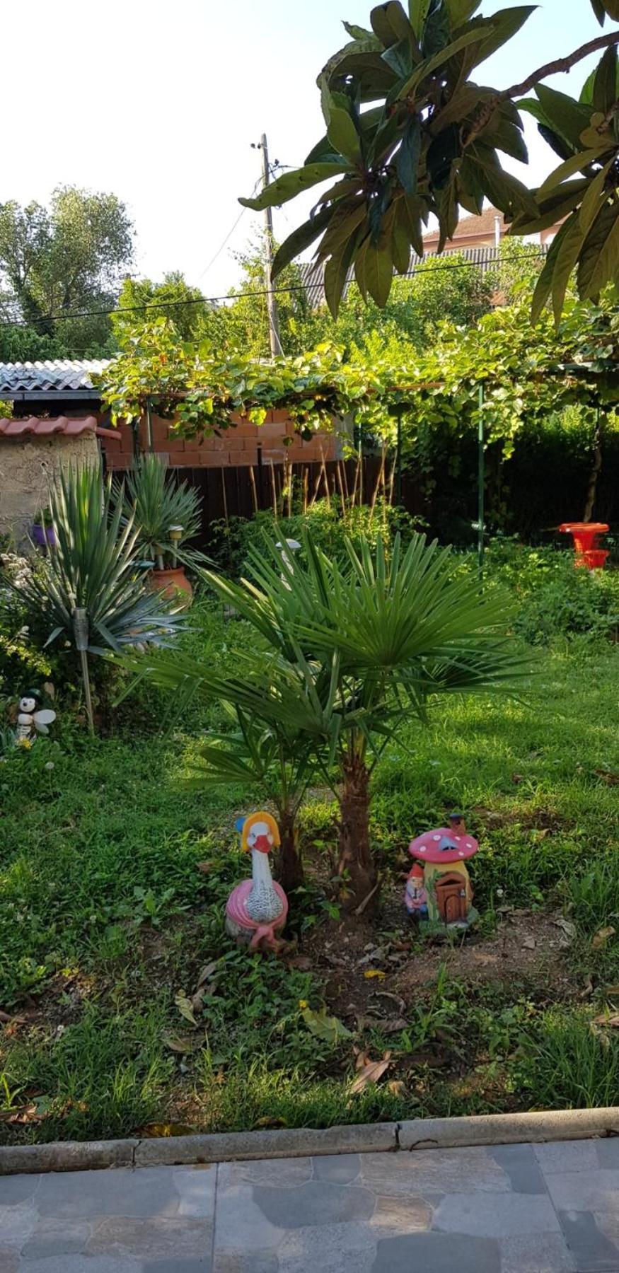 Vila Teodora Dojran Exterior photo